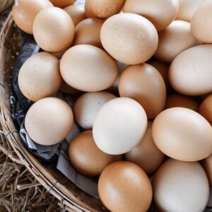 Large Grade AA Chicken Eggs
